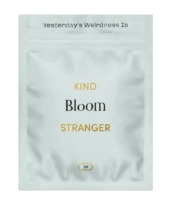 Kind Stranger Bloom: Premium Magic Mushroom Capsules